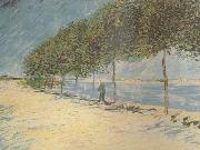 Wald along the Banks of the Seine near Asnieres (nn04) Vincent Van Gogh